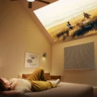 5341861b-5ed8-4881-b11d-6b36bd941816_i-hisense-c2-pro